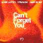 Can't Forget You