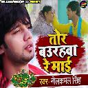 Tor Baurhwa Re Maai
