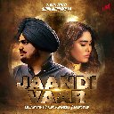 Jaandi Vaar