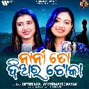Nani To Diyara Toka