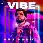 Vibe - Raj Pandit