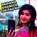 Rangwa Dharela Tin Pauwa