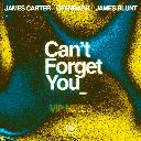Can't Forget You Feat. James Blunt (James Carter VIP Remix)