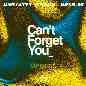 Can't Forget You (VIP Mixes)