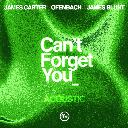 Can't Forget You Feat. James Blunt (Acoustic)
