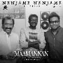Nenjame Nenjame