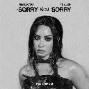 Sorry Not Sorry Feat. Slash (Rock Version / Chorus)