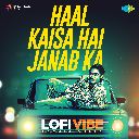 Haal Kaisa Hai Janab Ka (LoFi Vibe)