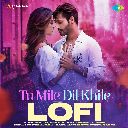Tu Mile Dil Khile (Lofi)