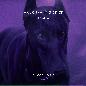Frozen (Fireboy DML Remix)