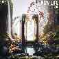 New Life - King (IND)