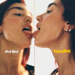 Houdini - Dua Lipa