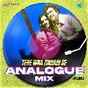 Tere Bina Zindagi Se - Analogue Mix