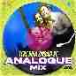 Tere Bina Zindagi Se - Analogue Mix