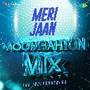 Meri Jaan - Moombahton Mix