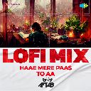 Haae Mere Paas To Aa - LoFi Mix