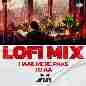 Haae Mere Paas To Aa - LoFi Mix