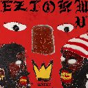 NO PROTOCOL (Chorus)