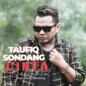 Taufiq Sondang - Cinta Bertahta