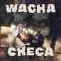 Wacha Checa