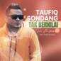 Taufiq Sondang - Tak Bernilai Di Mataku