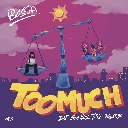 Too Much (DJ Smallz 732 Remix)