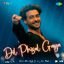 Dil Phisal Gaya