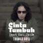 Thomas Arya - Cinta Tumbuh Saat Kau Jauh
