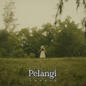 Pelangi (Adzrin)