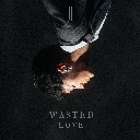 Wasted Love