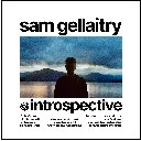 Introspective