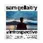 Introspective - Sam Gellaitry