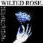 Wilted Rose