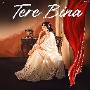 Tere Bina