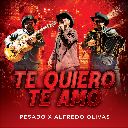 Te Quiero, Te Amo