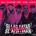 Si Las Gatas Se Amotinan Feat. DobleP (Remix)