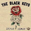 No Rain, No Flowers (Diplo Remix)