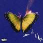 All Night - Maroon 5