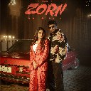 ZORN (Zamana Oh Reha Ni)