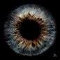 Apples Of Thy Eye