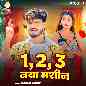 1,2,3 Naya Machine
