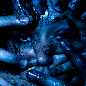 BLUE - Kanii
