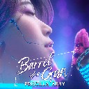 Barrel Of A Gun (Verse)