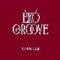 Eko Groove