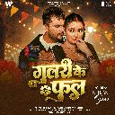 Gulari Ke Phool