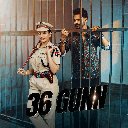 36 Gunn