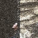 Sha Zhi Man Tuo Luo 砂之曼陀罗