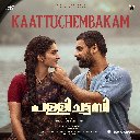 Kaattuchembakam (From Pallichattambi)