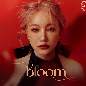 Bloom - Benzkhaokhwan