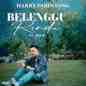Harry Parintang - Belenggu Rindu